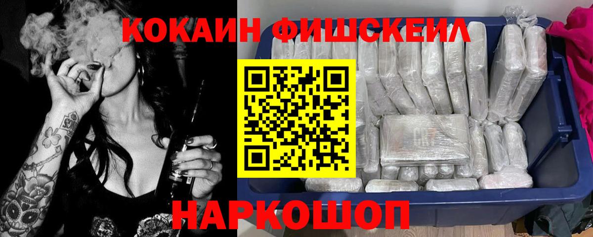 КОКАИН FishScale  COCAIN 97%  COCAIN  Камень-на-Оби  что такое наркотик  Вход с VPN 