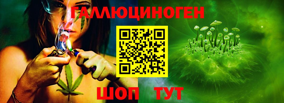 Псилоцибиновые грибы Magic Shrooms  Вход с VPN  Галлюциногенные грибы Psilocybine cubensis  Камень-на-Оби 